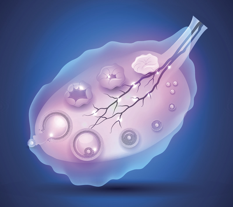 2026西安私立试管婴儿医院名单，西安市众多医院中仅有5家有资质(隐私性强)